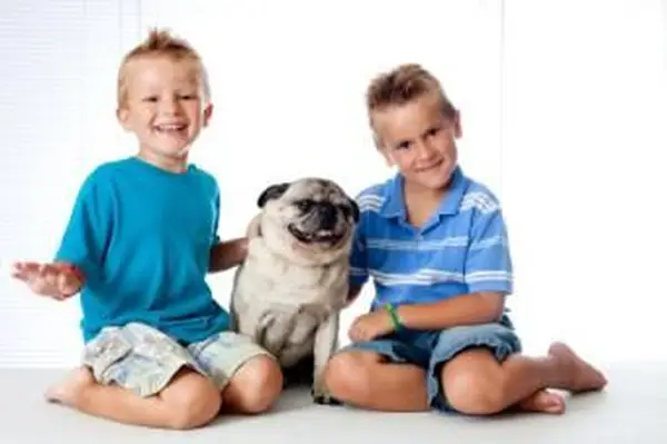 Dois irmãos e seu pug