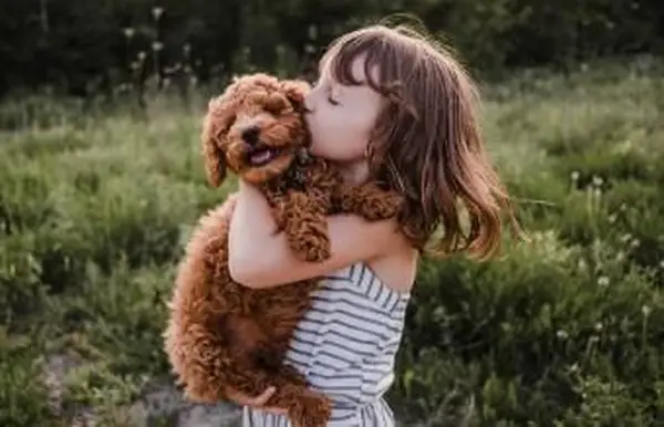 68 citazioni di cani originali che adorerai