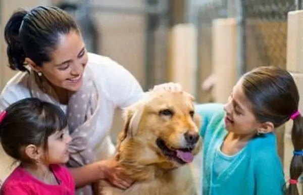 동물 보호소에서 개를 입양하는 가족