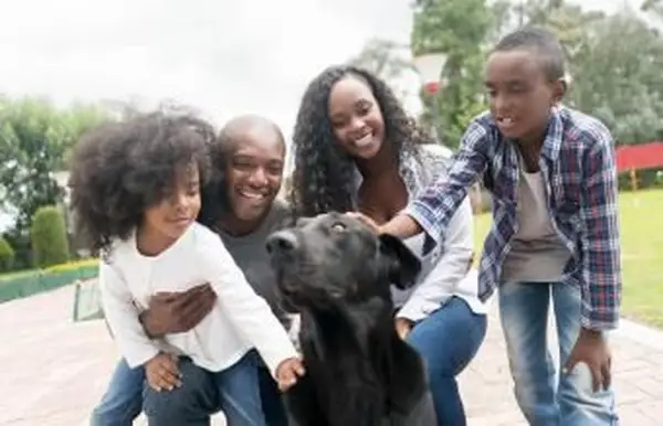 개를 입양 행복 한 가족의 초상화