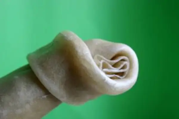 生皮または牛革の噛み物は犬に適していますか？