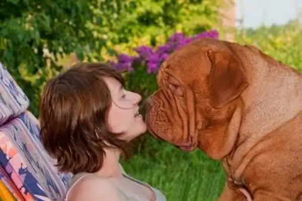 https://cf.ltkcdn.net/dogs/images/slide/208197-850x567-Tender-Dog-Kiss.webp