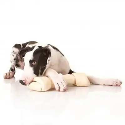 https://cf.ltkcdn.net/dogs/images/slide/243552-850x850-7-great-dane-puppy.webp
