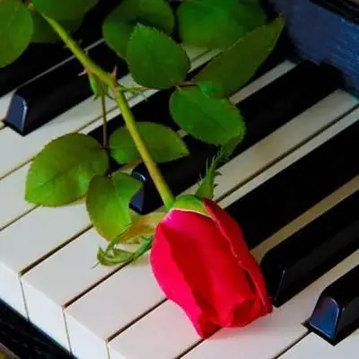 20 שירי הלוויה מובילים שאנשים יתייחסו אליהם