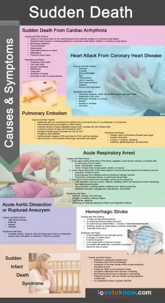 אינפוגרפיקה של מוות פתאומי