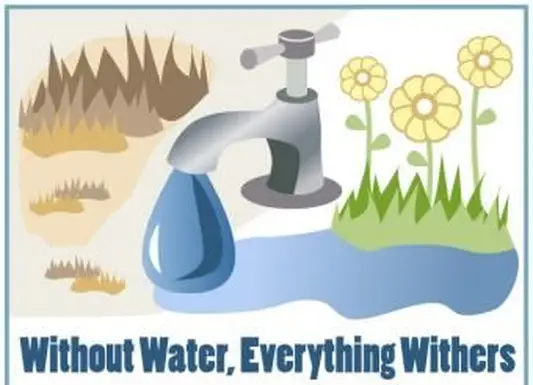Slogan ambientale 2 Senza acqua, tutto appassisce