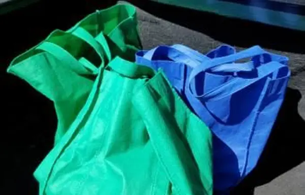 Borse riutilizzabili nel bagagliaio dell'auto