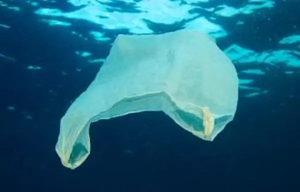 Sacchetti di plastica nell'oceano
