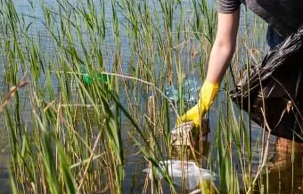 Ako zastaviť znečisťovanie vody