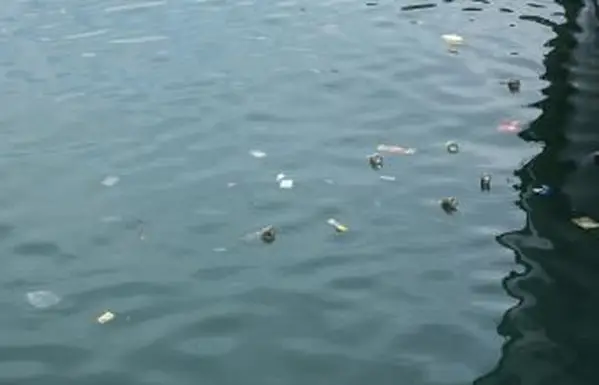 Pollution plastique dans l'océan