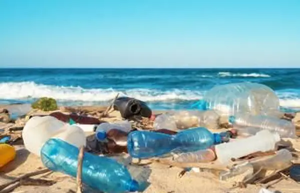 Déchets échoués sur une plage