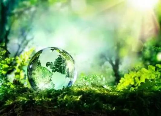 Liste der 30 größten Umweltbedenken