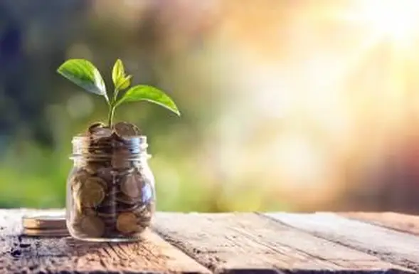 Come ritirarsi al verde e sopravvivere Su