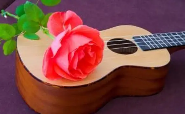 Najlepšie kresťanské pohrebné piesne všetkých čias