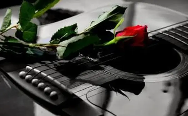 경쾌한 작별 인사를위한 40 개 이상의 행복한 장례식 노래