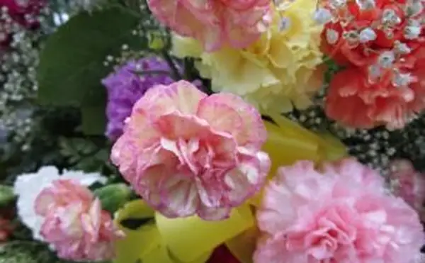 pogrzebowa kompozycja kwiatowa