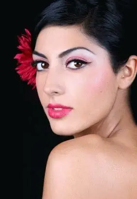 צבעי צלליות לעיניים חומות שיער שחור