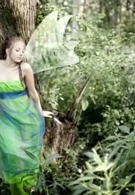 דמויות פיטר פן