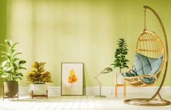 Wohnzimmer mit Hängesessel und Pflanzen