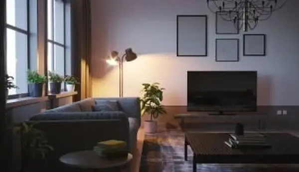 Rośliny na parapecie za kanapą