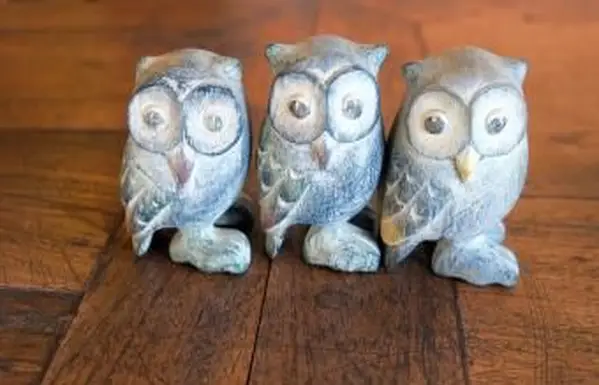 フクロウは幸運ですか？