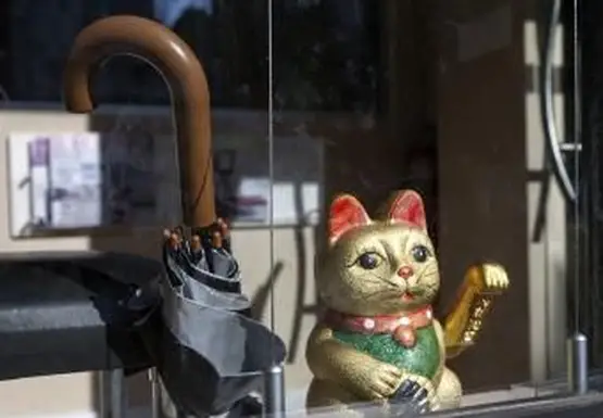 Szczęśliwy kot, który przyciągnie klientów