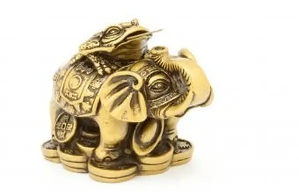 풍수 응용 프로그램에 코끼리를 배치하는 방법