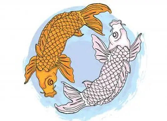 https://cf.ltkcdn.net/feng-shui/images/slide/248676-850x638-two-koi-fish-in-circle.webp