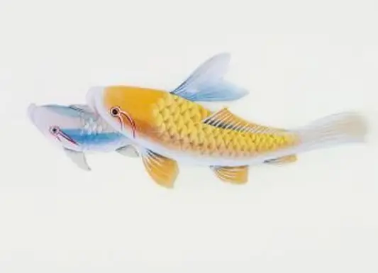 https://cf.ltkcdn.net/feng-shui/images/slide/248678-850x638-blue-and-gold-koi-fish.webp