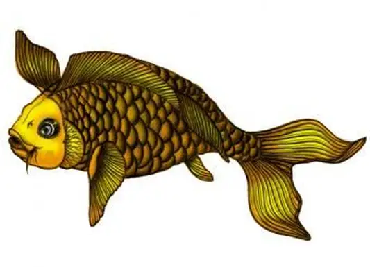 https://cf.ltkcdn.net/feng-shui/images/slide/248923-850x638-yellow-koi-fish.webp