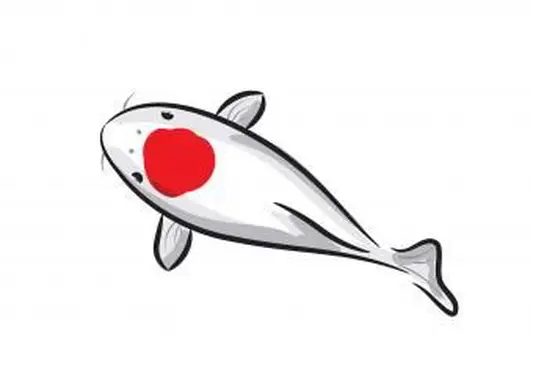 https://cf.ltkcdn.net/feng-shui/images/slide/248917-850x638-koi-fish-red-dot.webp