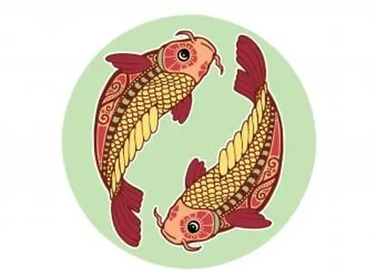 https://cf.ltkcdn.net/feng-shui/images/slide/248918-850x638-pair-swimming-koi-fish.webp