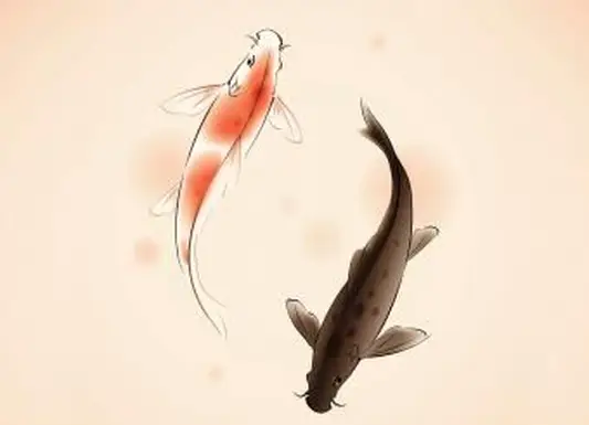 https://cf.ltkcdn.net/feng-shui/images/slide/248919-850x638-yin-yang-koi-fish.webp