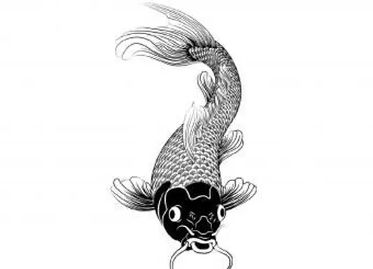 https://cf.ltkcdn.net/feng-shui/images/slide/248921-850x638-black-ink-koi-fish-drawing.webp