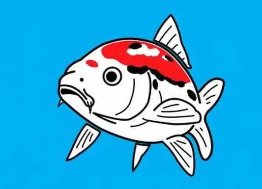 https://cf.ltkcdn.net/feng-shui/images/slide/248922-850x638-koi-fish-on-blue-background.webp