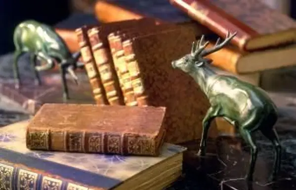 Antyczne papierowe książki z dwoma podpórkami z jelenia