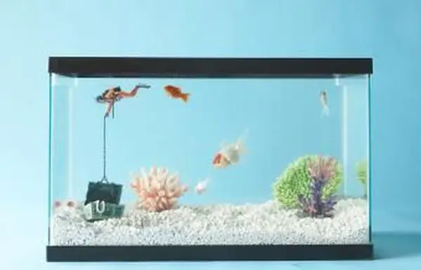 Comprendre l'élément eau du Feng Shui