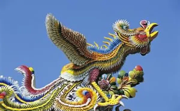 풍수의 피닉스 신화