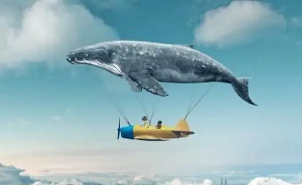 Una balena di un racconto