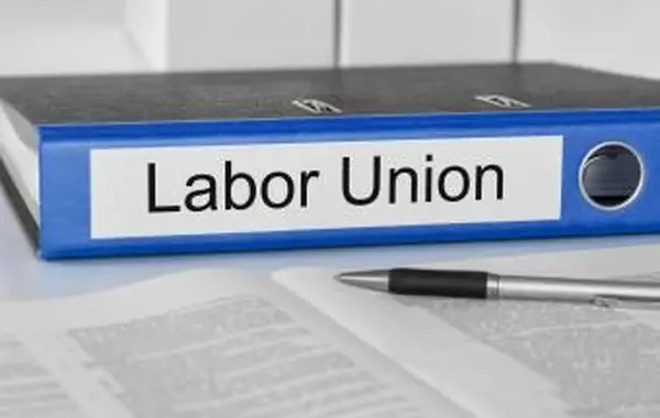 Stati del diritto al lavoro