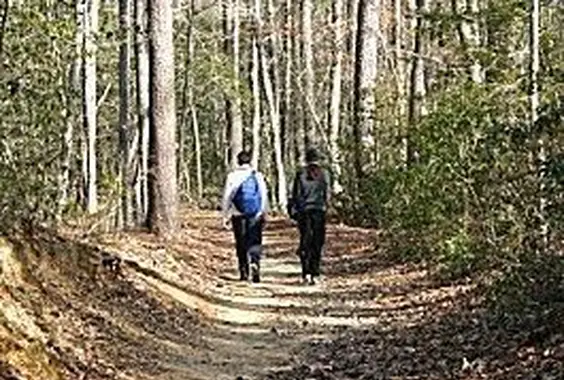 9 Ideen und Tipps für das erste Date