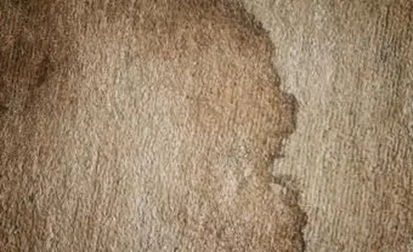 שטיח שפשפה מלוכלך עם כתם