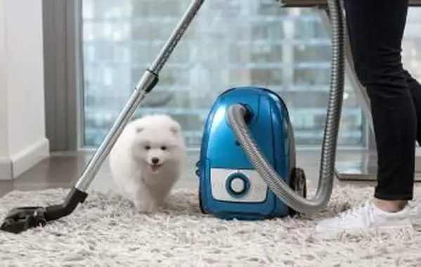 7 metodi per pulire un tappeto a pelo lungo