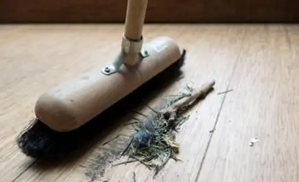 Zamiatanie bambusowej podłogi