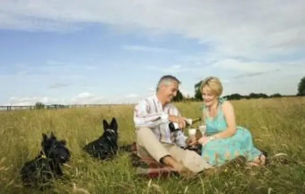 Casal servindo vinho em um piquenique