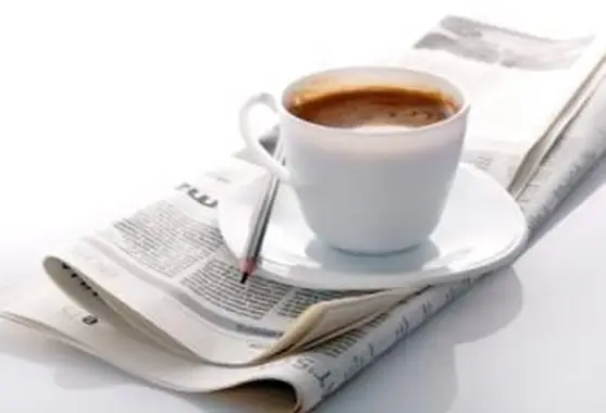 Periódicos franceses en inglés