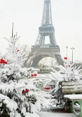Feliz Navidad en francés