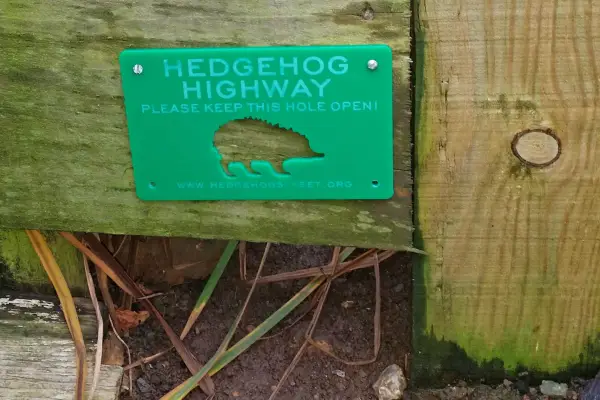 A hole beneath a fence with a Hedgehog Highway sign fixed above it