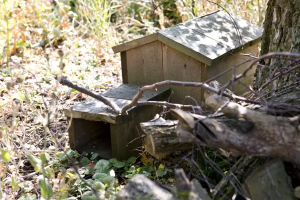 Hedgehog house placed in a quiet part of the garden
