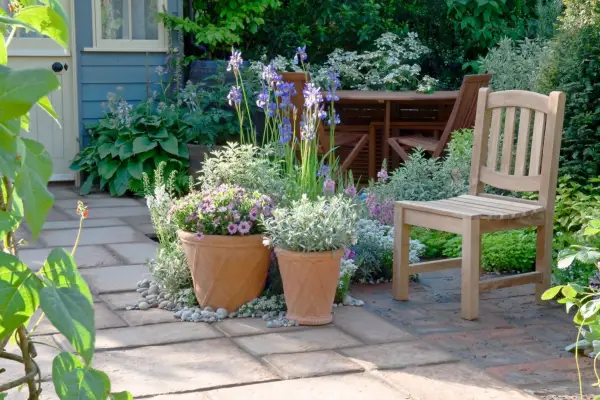 Tips for growing plants in pots